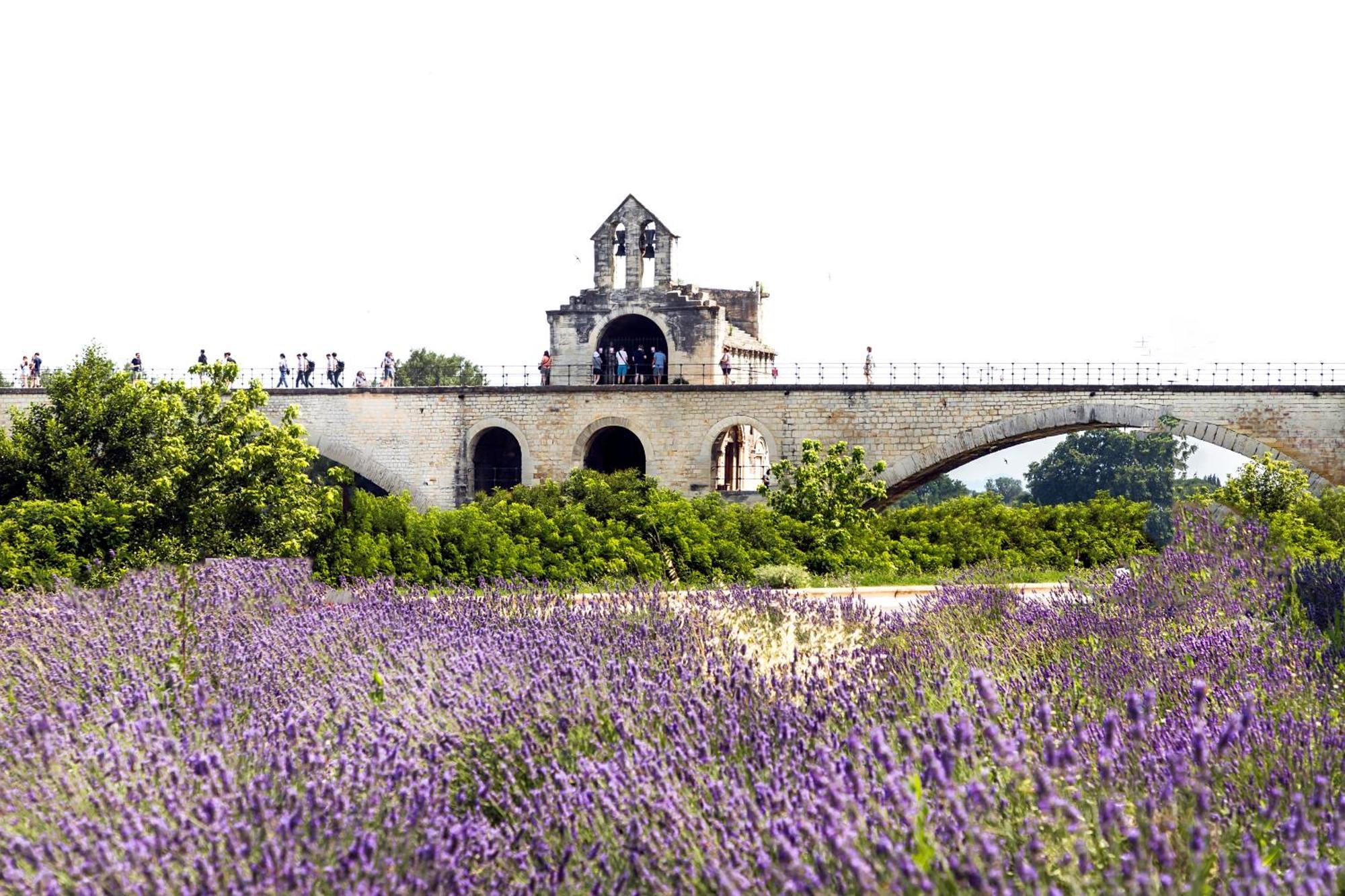 Camping Les Avignon - La Laune Villeneuve-les-Avignon Luaran gambar